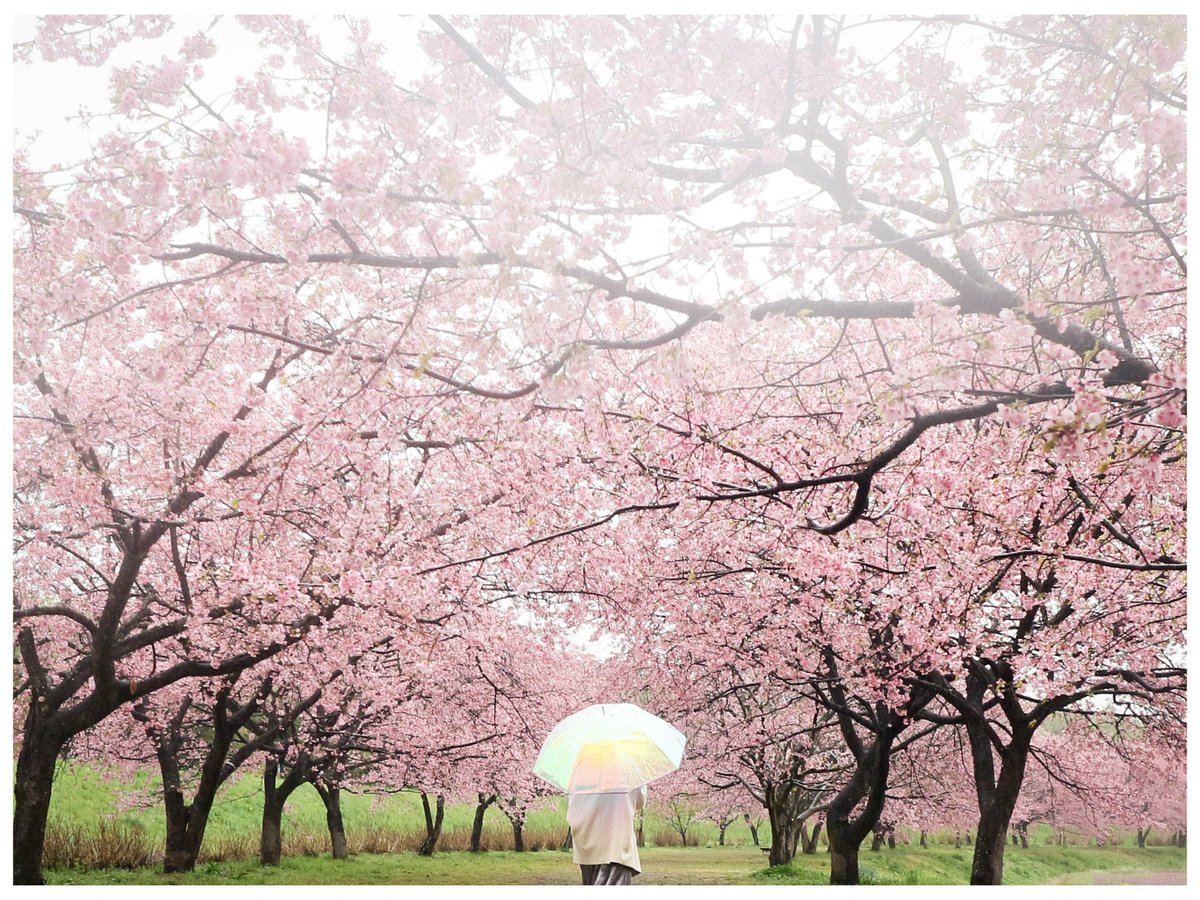 . <a href="/miriame04/">miria 2月21日個撮</a>