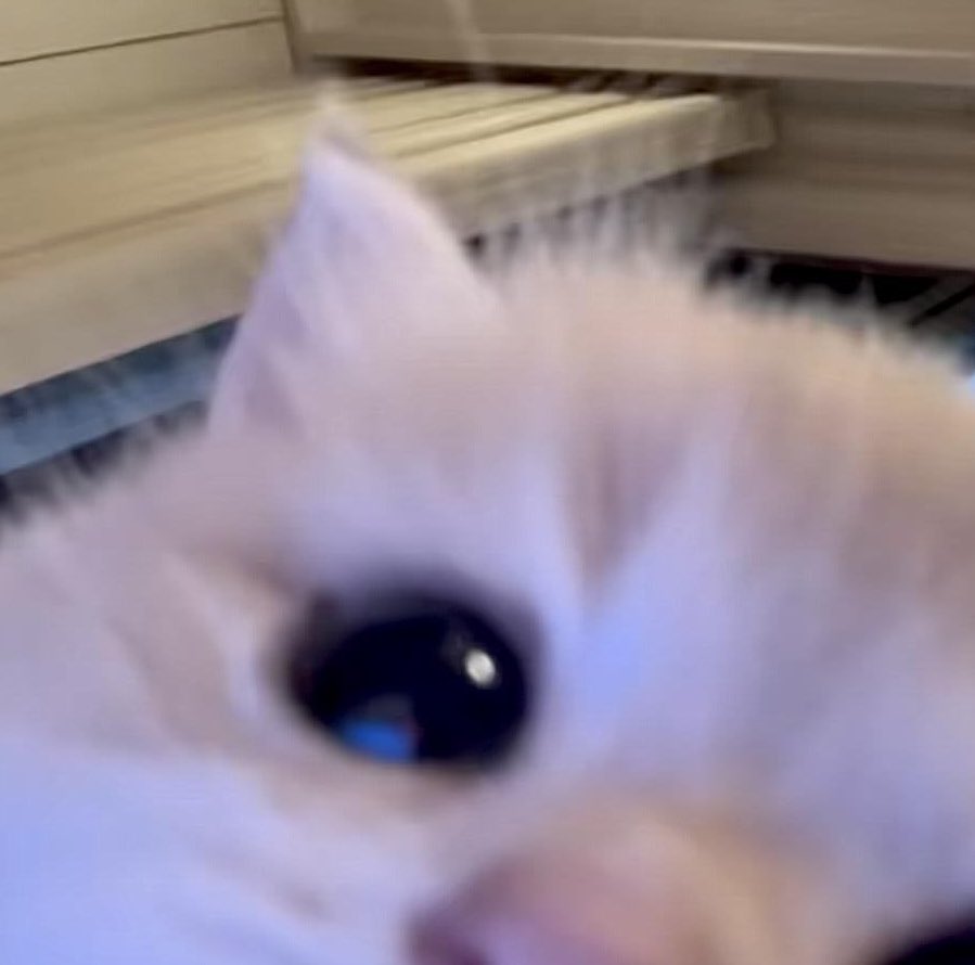 𝓙amer (@onyourclub) on Twitter photo 