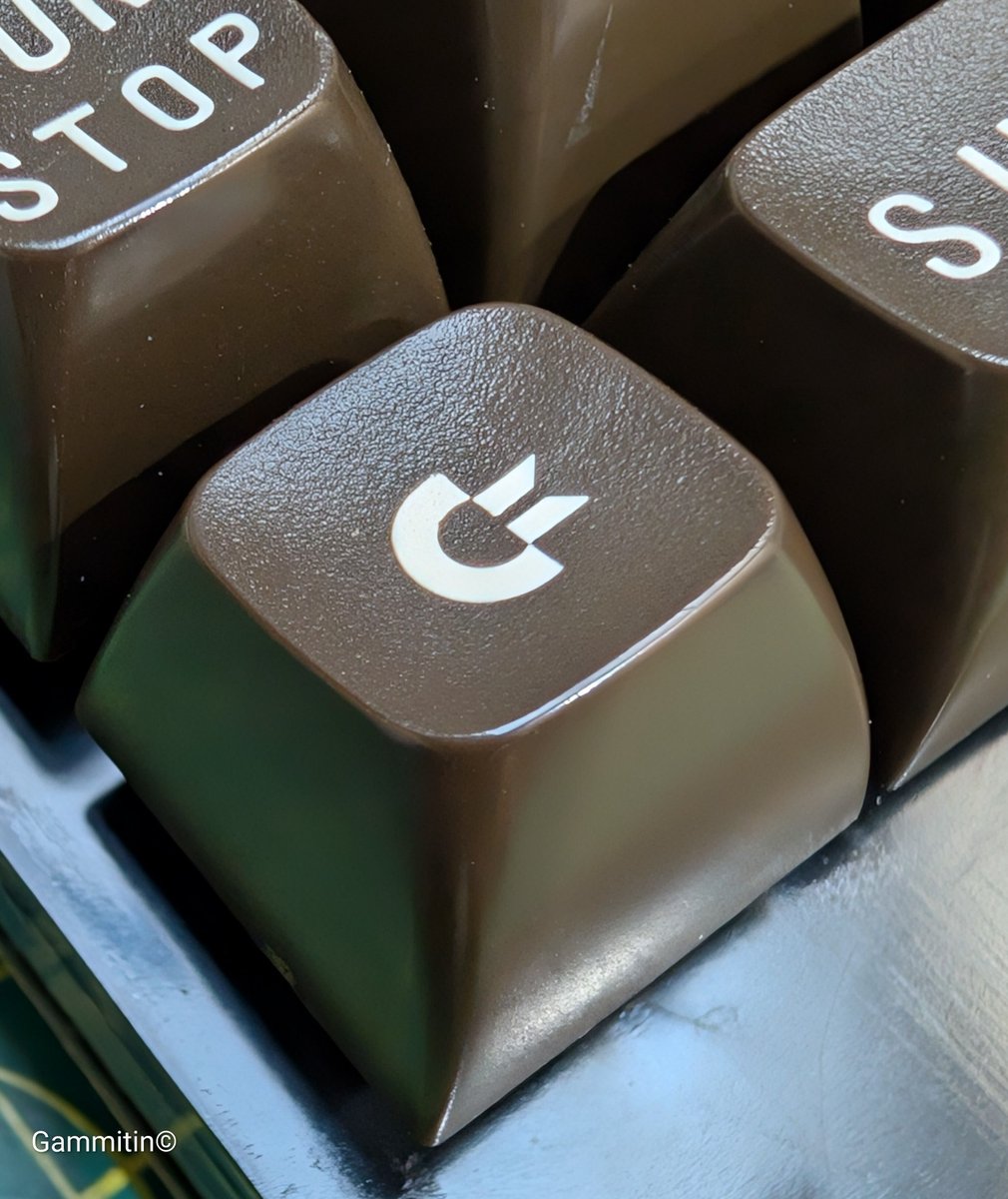 Gammitin (Ben) 💾 tweet media