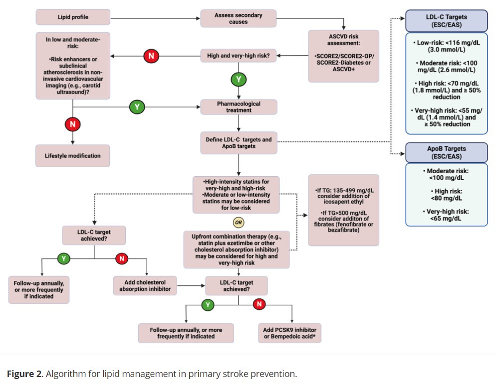 International Journal of Stroke tweet media