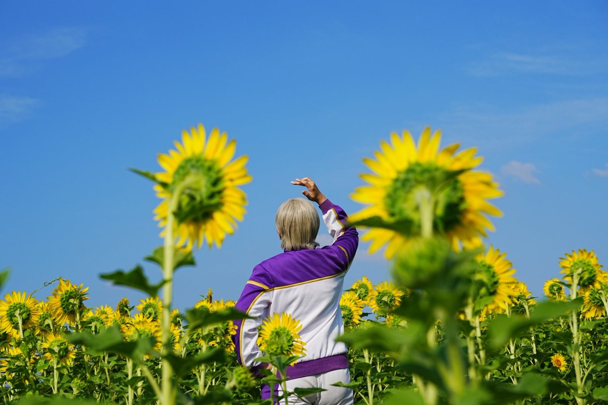 7月 ひまわり撮影① 晴天！ photo @BIGforest914 ロケ地 @endofarm831
