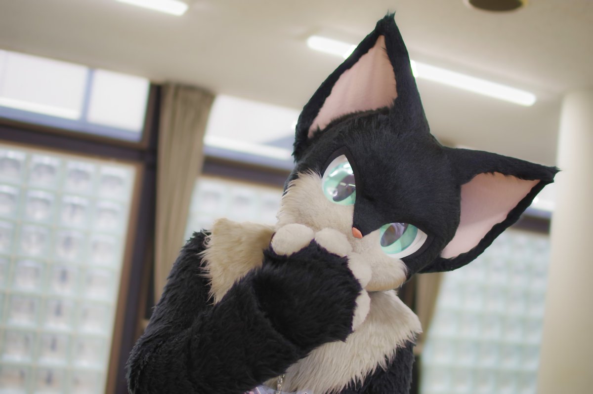 RT @KenichiWakisak1: 何かくれるかな〜？🐈‍⬛ #ゆるもふ2 #FursuitFryday