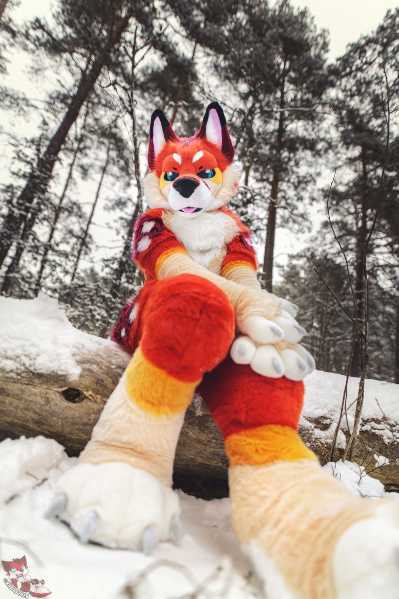 Nightless tweet media