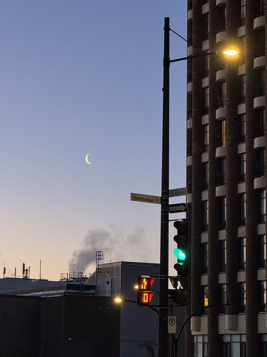 fat white opium trade tweet media