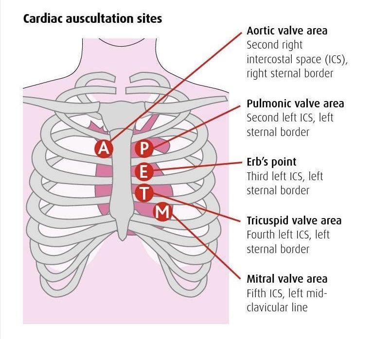 Clinical Pocket Reference tweet media