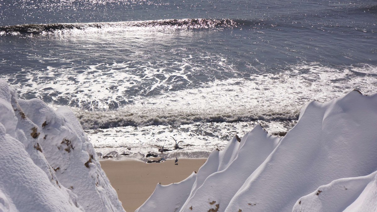 NY State Parks tweet media