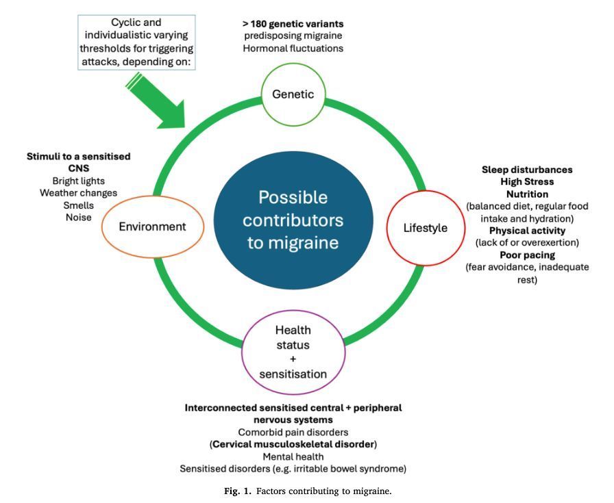 💡#Masterclass - have you checked out our NEW masterclass on the Individualised physiotherapy assessment and management of migraine? - 🟢 Open Access: buff.ly/IOZLX7f #Migraine #Cervical #Sensitisation #Physiotherapy