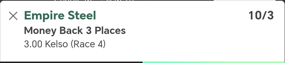 Oisins Horse Info tweet media