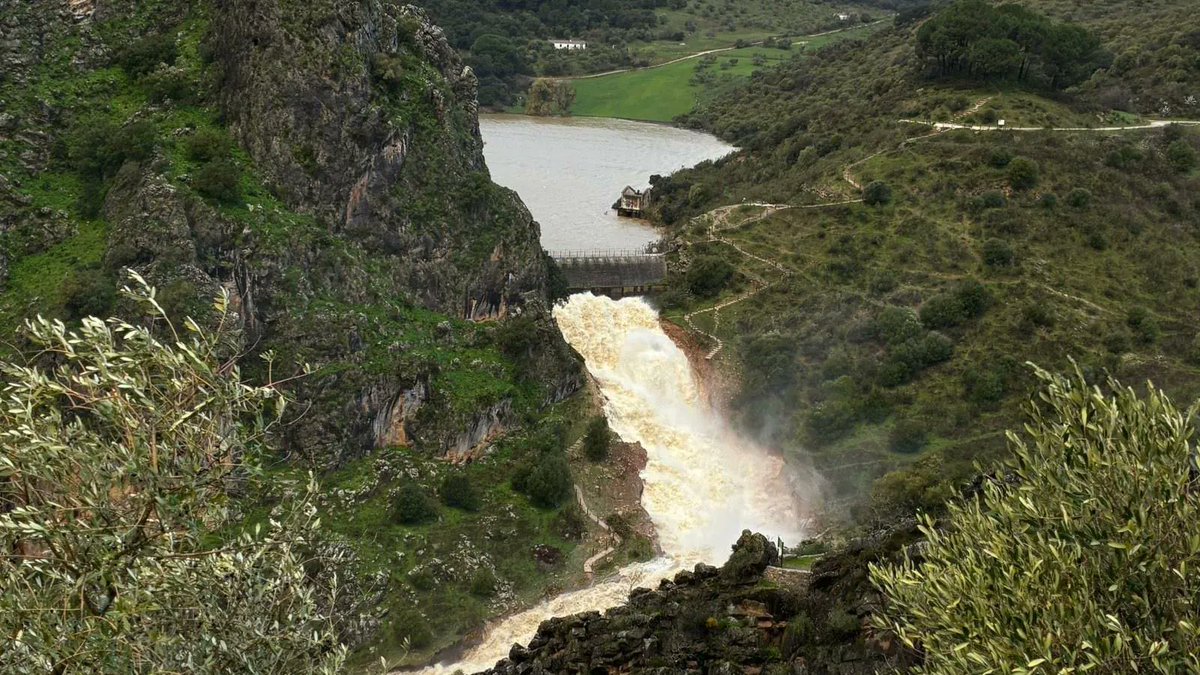 TiempoenRonda's tweet photo. Detalles que comparte la delegación de gobierno de la Junta de Andalucía en Málaga sobre la presa de los caballeros: 

La presa de los caballeros de Montejaque ha comenzado a desembalsar agua por los aliviaderos superiores. El mecanismo de sifones de la infraestructura, construida en 1924, ha funcionado a las 9.02 horas cuando éstos han entrado en carga, tras haber entrado el agua al sistema de aliviaderos a las 8.42 horas, aproximadamente a 22 centímetros de coronación. 

El agua está transitando como se esperaba por los sistemas de la Cueva del Hundidero, durante cerca de 8 kilómetros de galerías, y saliendo por la Cueva del Gato. El caudal de salida que se estimó era de 345 m3/s, pero actualmente está saliendo a 200 m3/s. La laminación del sistema de cuevas está siendo aún mejor de lo previsto.

📸 @malagahoy_es