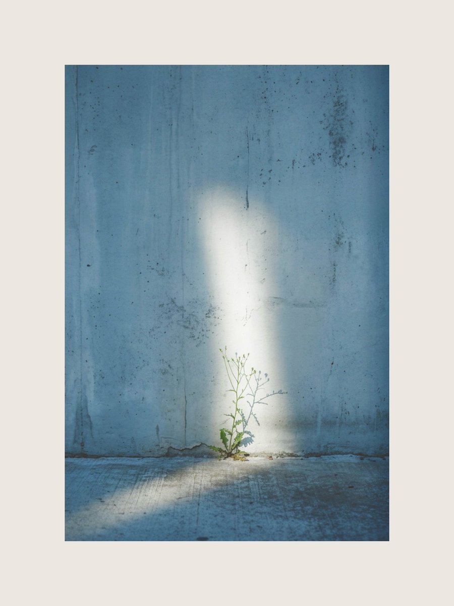 wunder (@suisounonou_jp) on Twitter photo 