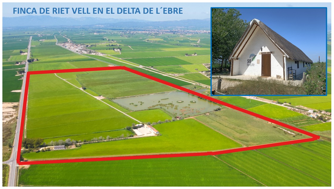 RietVell tweet media