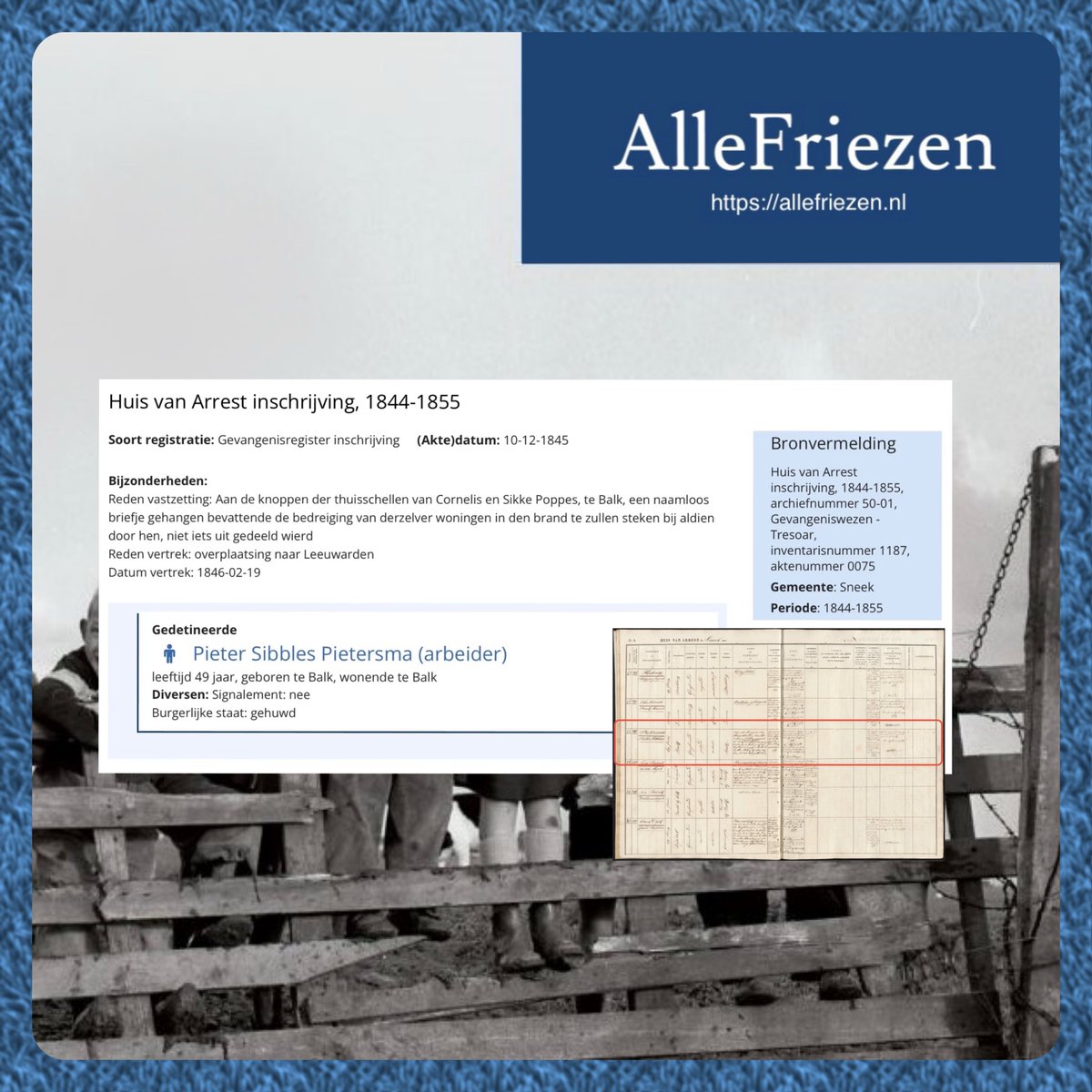 AlleFriezen tweet media