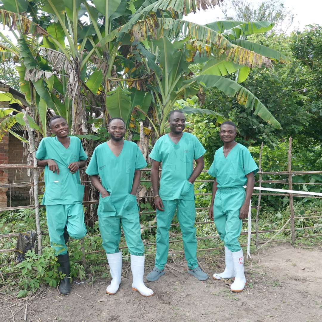 ALIMA (EN) tweet media