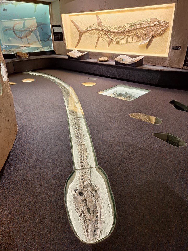 This is one of my new favorite ways to display a plesiosaur. Often you’ll see them suspended from...