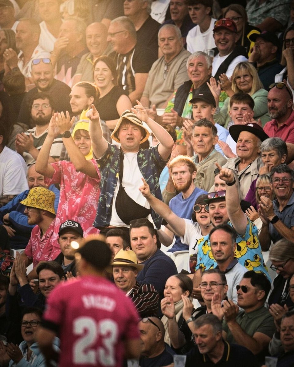 Somerset Cricket 🏆 tweet media