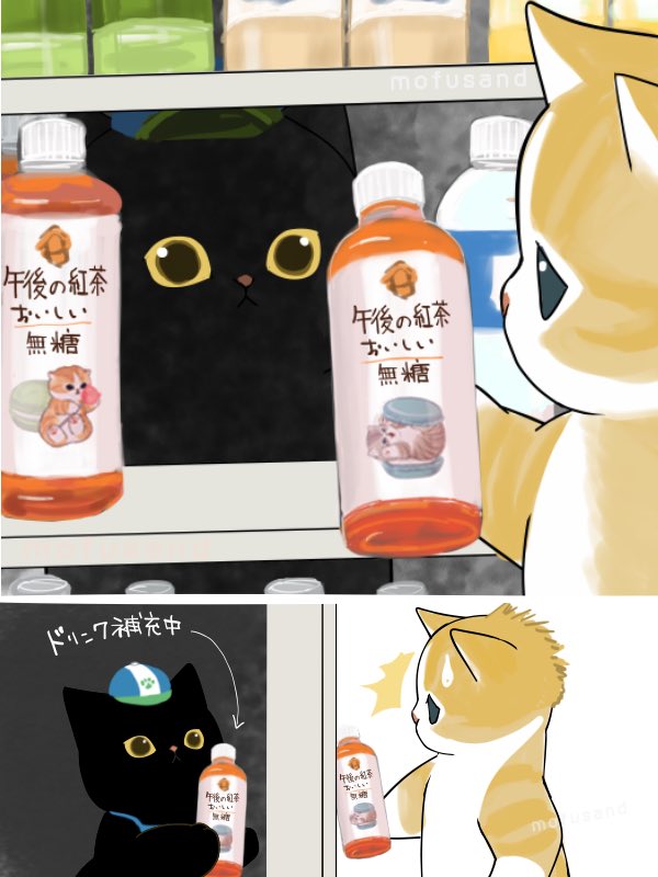 #ファミリ～にゃ～ト大作戦

暗闇から🐈‍⬛