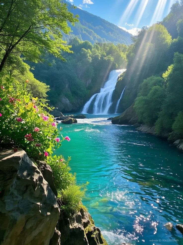 Amazing views 😍 (@naturaleye78321) on Twitter photo 