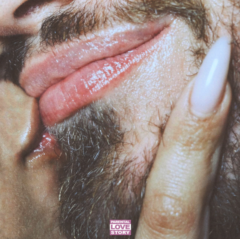 Animal63 tweet media