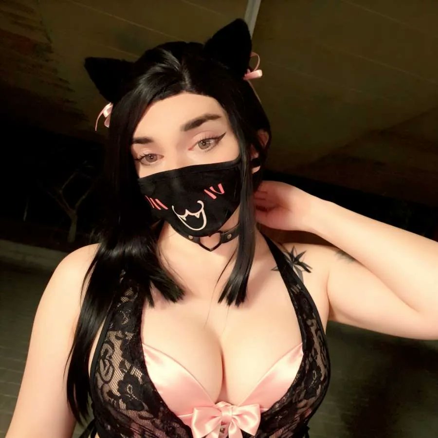 😻Kitty Momo😻 tweet media