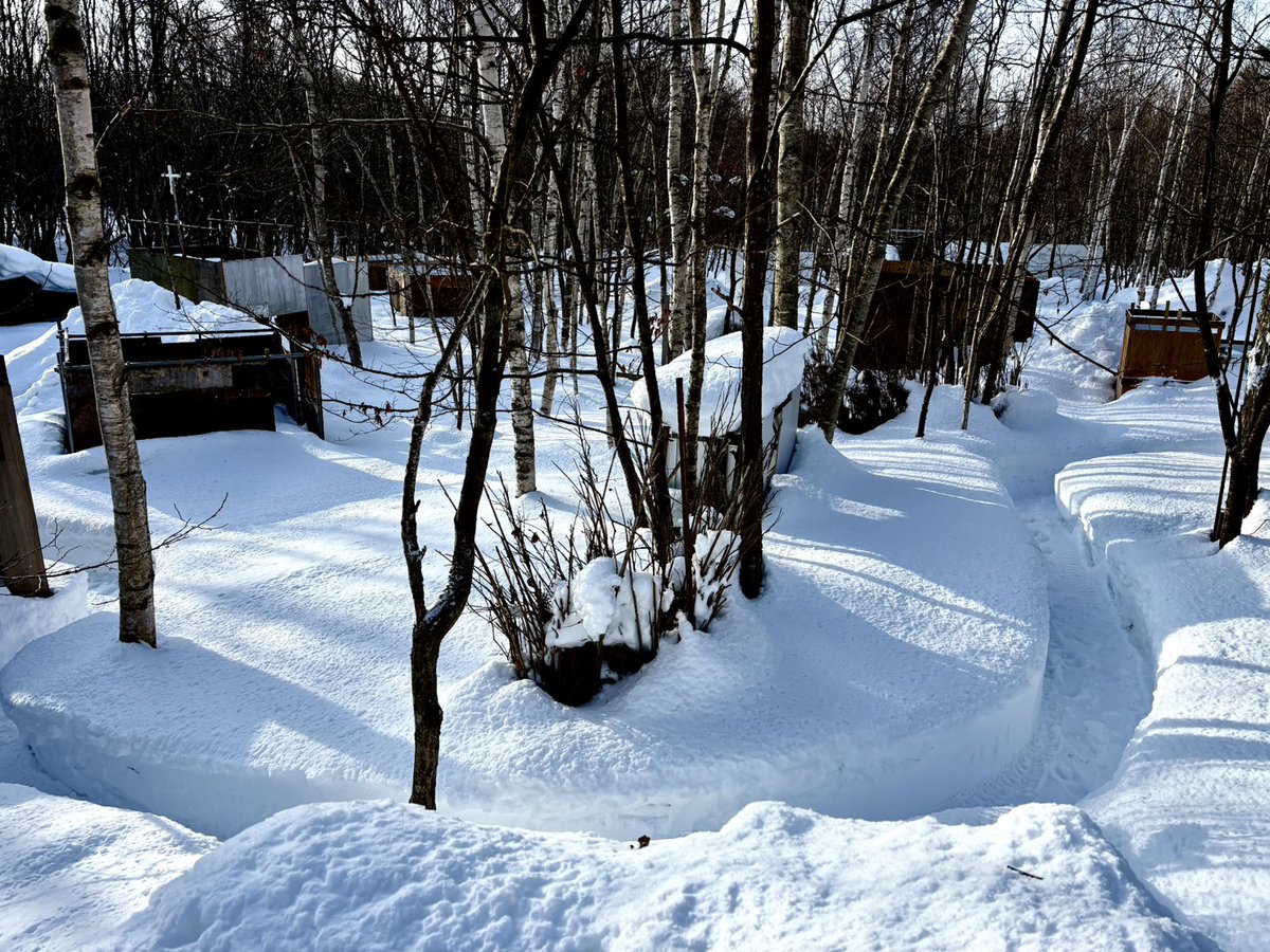 suginami_t's tweet photo. 【告知】
フィールドさんから最新の画像頂きました！

例年に比べても雪山高く、塹壕のようになり。かなり射線や遮蔽が冬仕様になってますね！

任務や非対称戦考えております！
現在10名以下ぐらい
まだまだ募集してますよ！

暖房のついてる部屋
レンジやお湯もあります
是非ぜひ！ https://t.co/DkIJY4hd6e