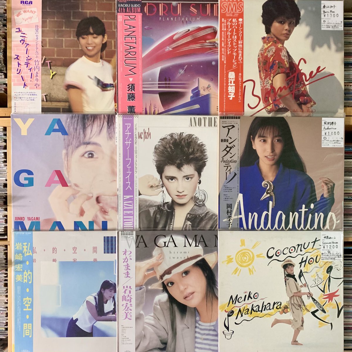 今週追加したレコードまとめです。 ご来店お待ちしております。 #円盤