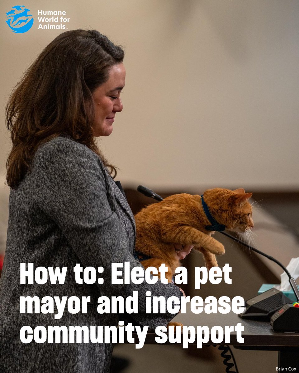 HumanePro tweet media