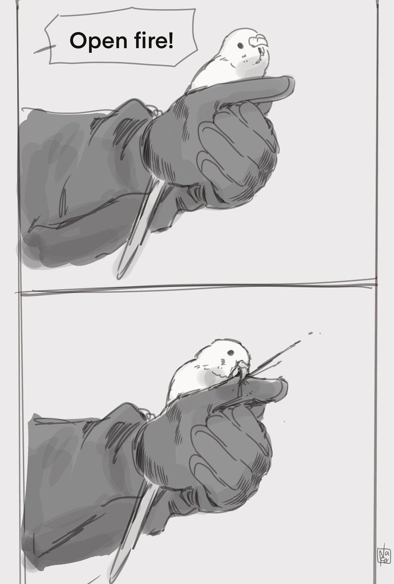 NaFe (@nafe_nasutetsu) on Twitter photo 