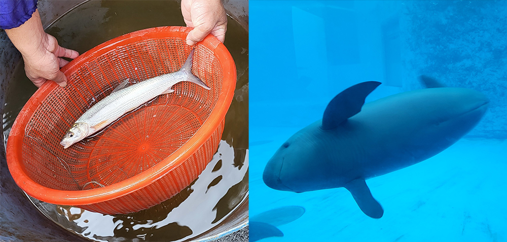 Observatoire MP tweet media