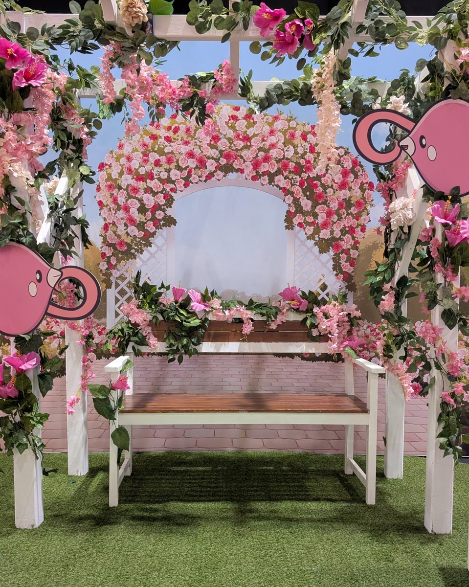 JCC Pokémon España tweet media