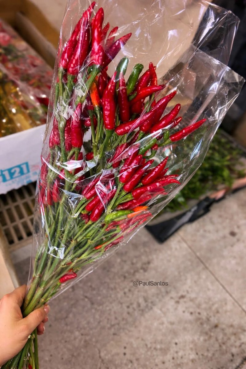 jawafess's tweet image. Valentine doi diwei iki masuk ra lur?