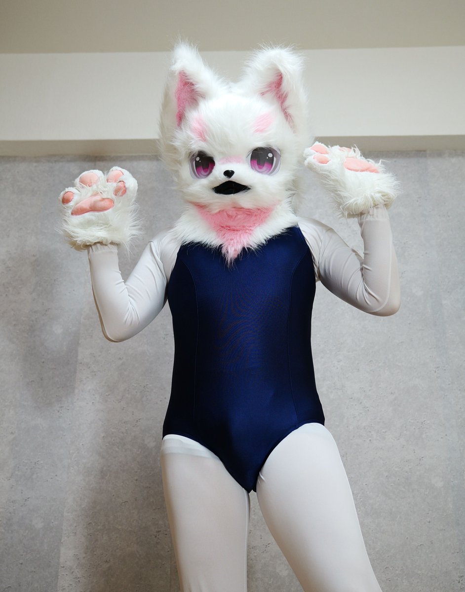 この数日話をしていた、ケモノの着ぐるみスク水回の結果がこちら