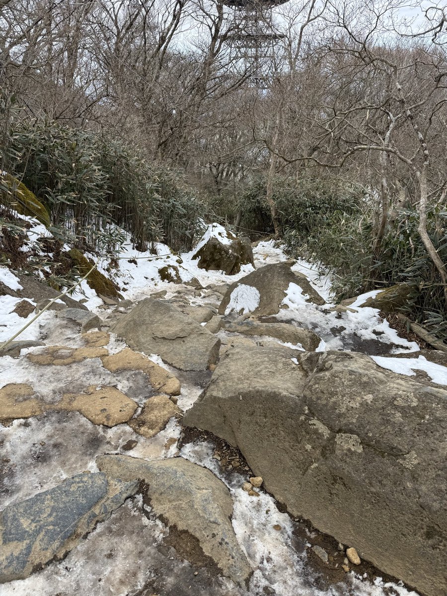 a_saku3's tweet photo. 久しぶりに近くの山を登ってきた！
最近拳立てしかしてない
ジムに行ってないからジム代がもったいないな😅

#自然が最強のジム
#筋トレ継続中
#お金をかけない健康法
#コツコツ最強説
#人生アップデート https://t.co/XKsGkJBYAO