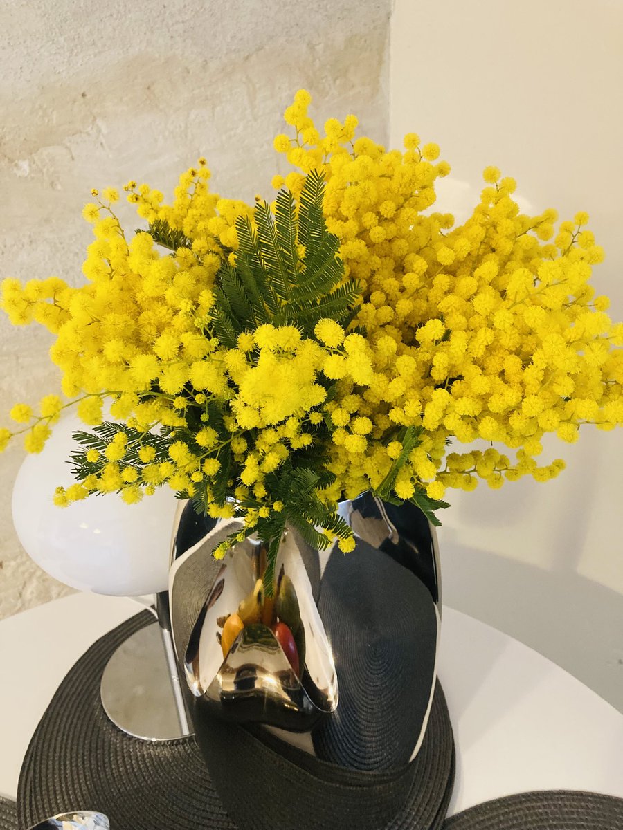 Mathieu Karsenti tweet media