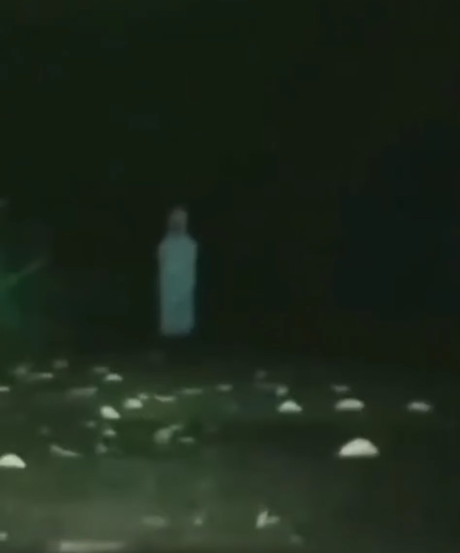creepylogy_'s tweet photo. PENJAGA WARUNG

Bayangin, jadi penjaga warung, gaji 30 juta sebulan. Target nggak ada, kerja santai. Risikonya cuma satu: ditawur pocong.

Mau nggak? https://t.co/iWGjgHuGPg