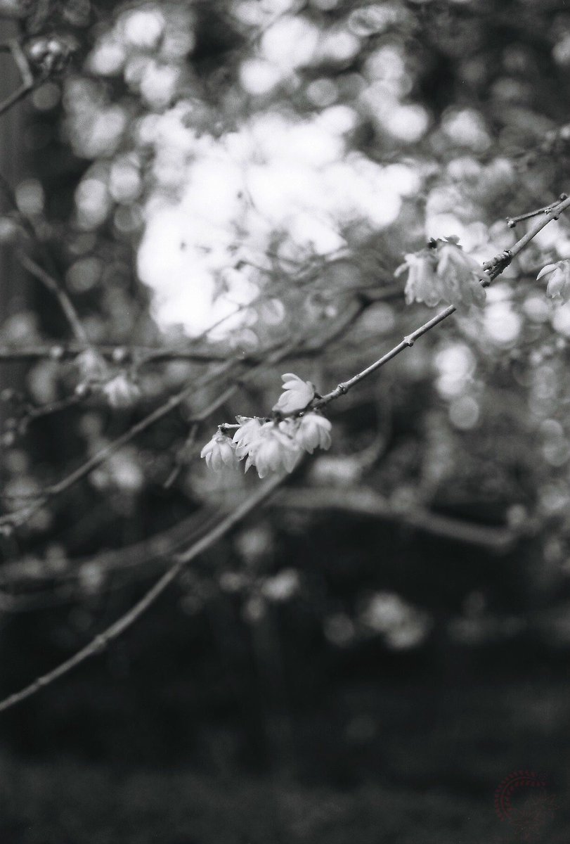 RT @kyoto_suki: それでは皆さま、おやすみなさいませ(( _ _ ))..zzzZZ