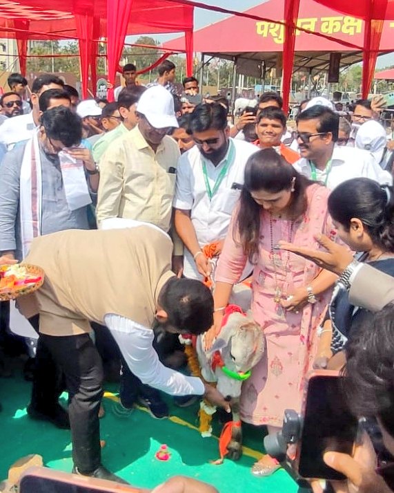 InfoBeed's tweet photo. #BEED_Dio
#बीड #परळीवैजनाथ 
राज्याच्या पशुसंवर्धन मंत्री @Pankajamunde अखिल भारतीय पशुपक्षी प्रदर्शनाच्या उदघाटन प्रसंगी गौ पूजन करताना. सोबत आमदार @dhananjay_मुंडे, पशुसंवर्धन सचिव डॉ. एन.रामस्वामी @CollectorBeed विवेक जॉन्सन.
#mahaexpoparli #MahaPashudhanExpo2026 #LivestockExpo https://t.co/nymLWdAAou