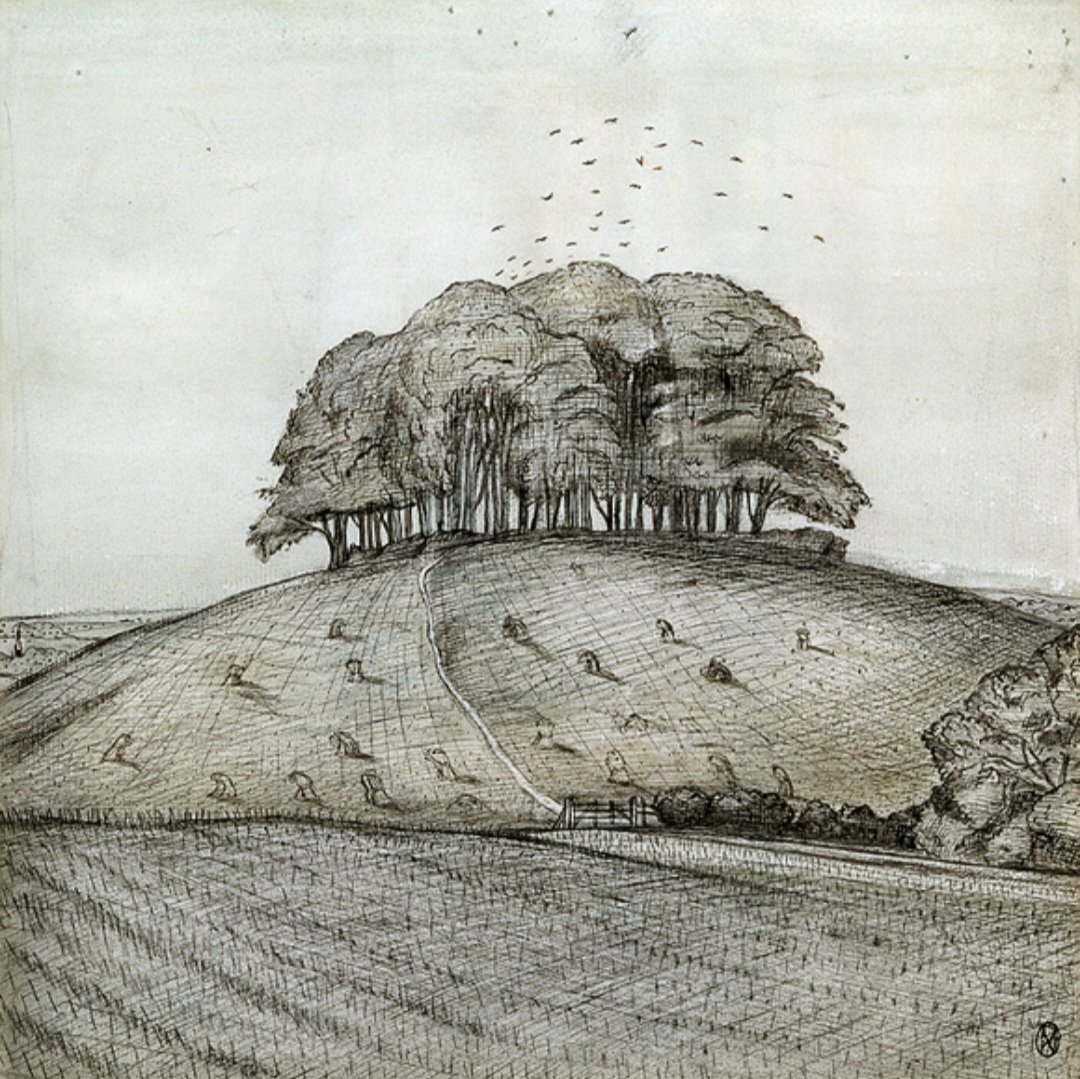 Richard Morris tweet media