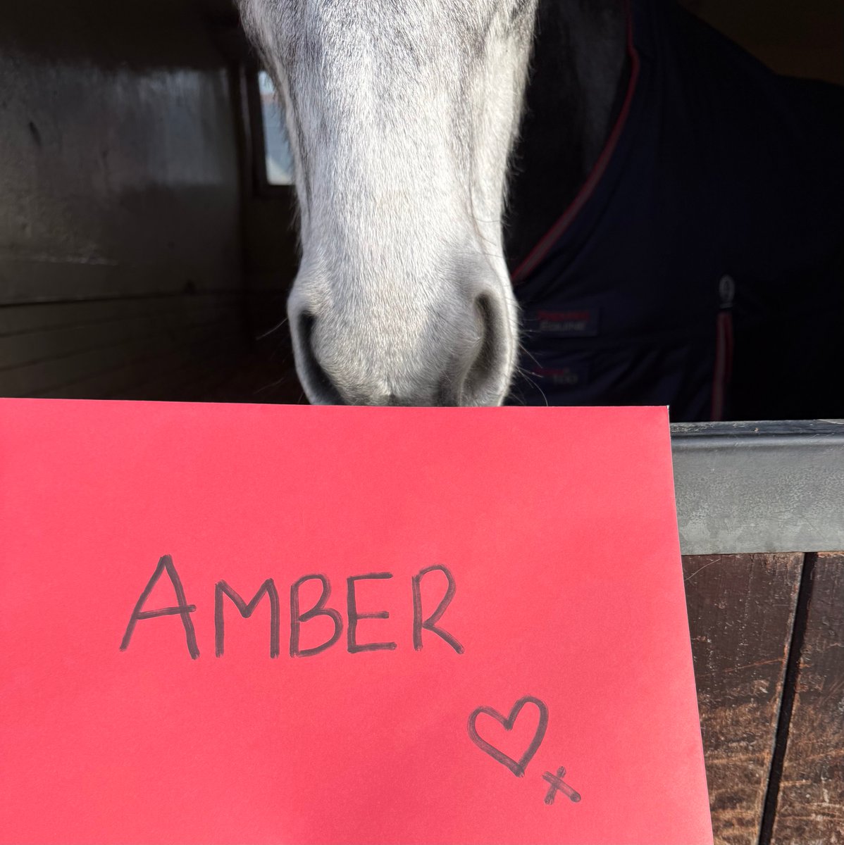 MerPolMounted's tweet image. Looks like Amber has a Secret admirer… who could it be? ❤️
#StandTall #PHAmber #SecretAdmirer