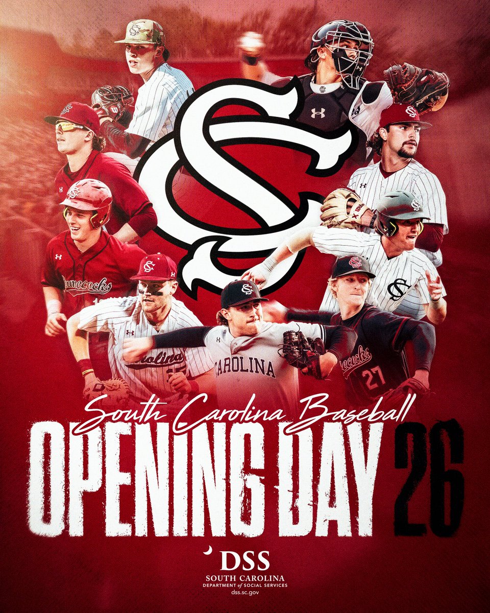 South Carolina Baseball tweet media