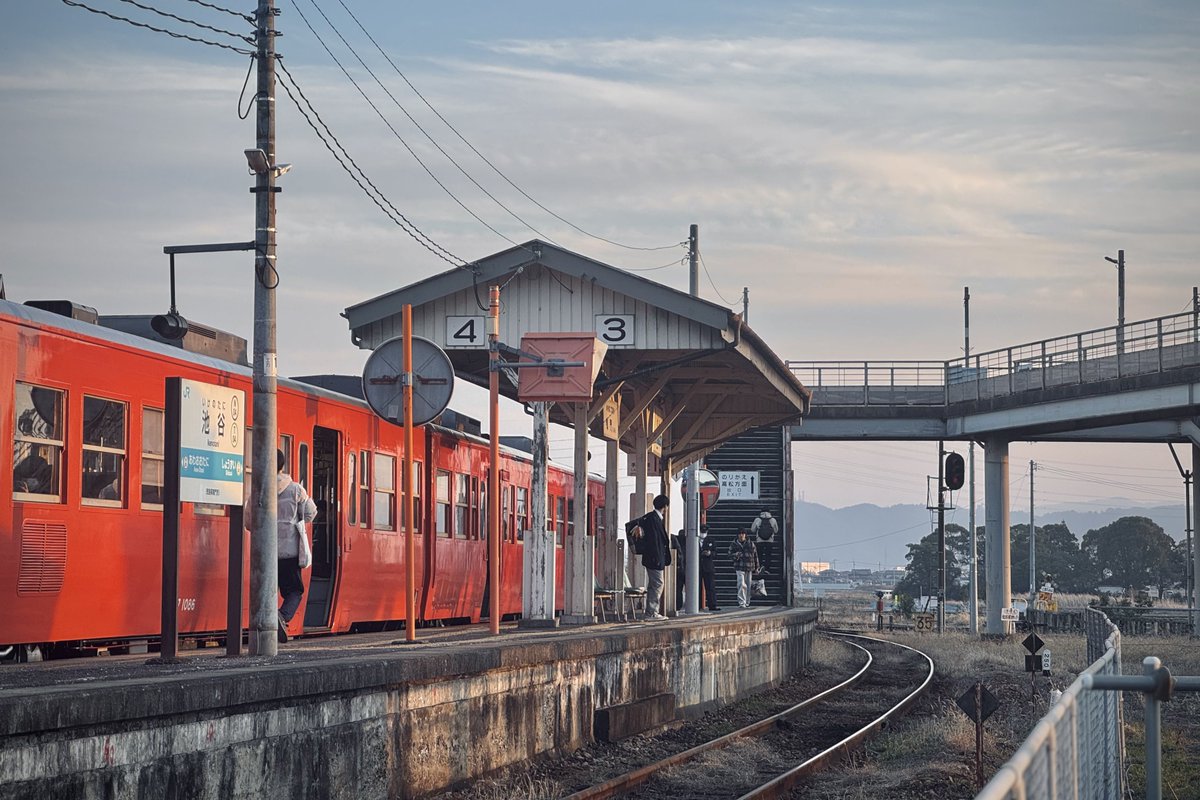 ゆらしあ🌱 tweet media