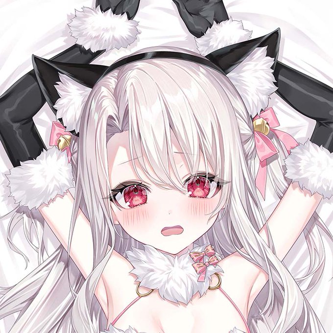 【3月締切/抱き枕カバー/新作告知③】
「デンジャラスビースト イリヤ」
イラストは由夜さん(@yuamaria)です。

3月4日までの受付となります。
全体プレビュー画像や詳細、ご注文はこちらから⇒https://t.co/6lUJoe66kg 