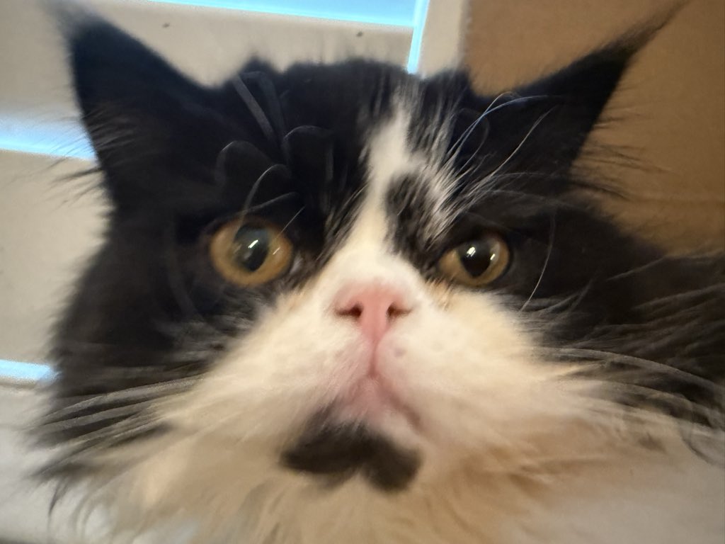 When I told Boycee that I’d seen a woman in the co op wearing slippers