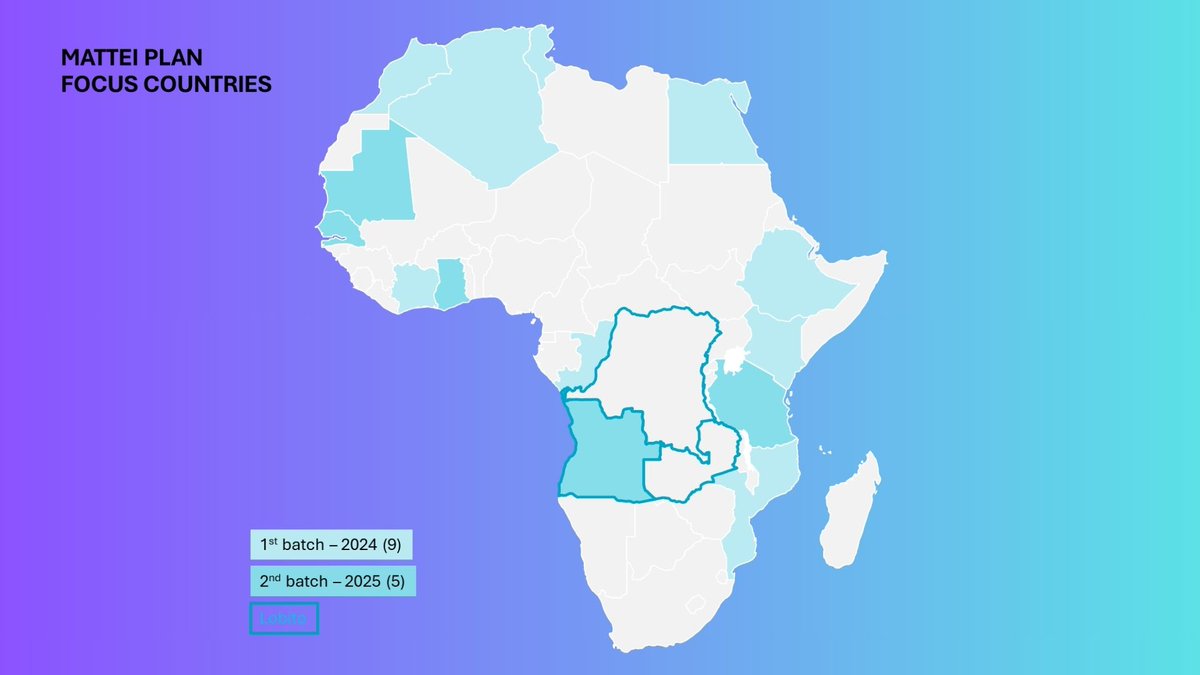 Maddalena Procopio tweet media