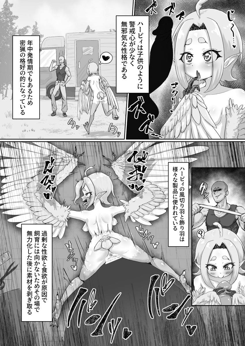 【魔族生態図鑑】No.004 :ハーピィ 