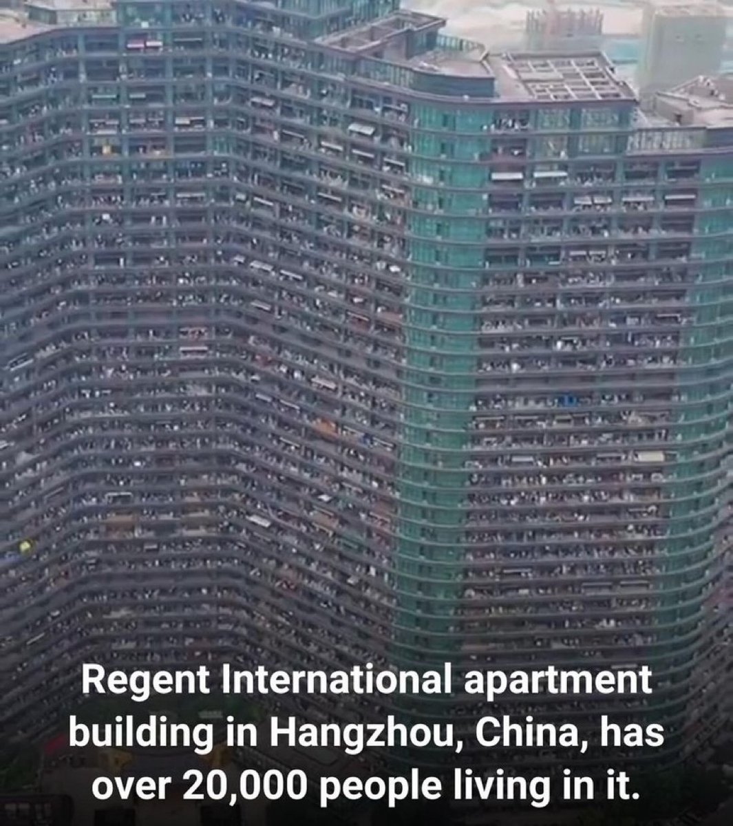 Out of Context Human Race tweet media