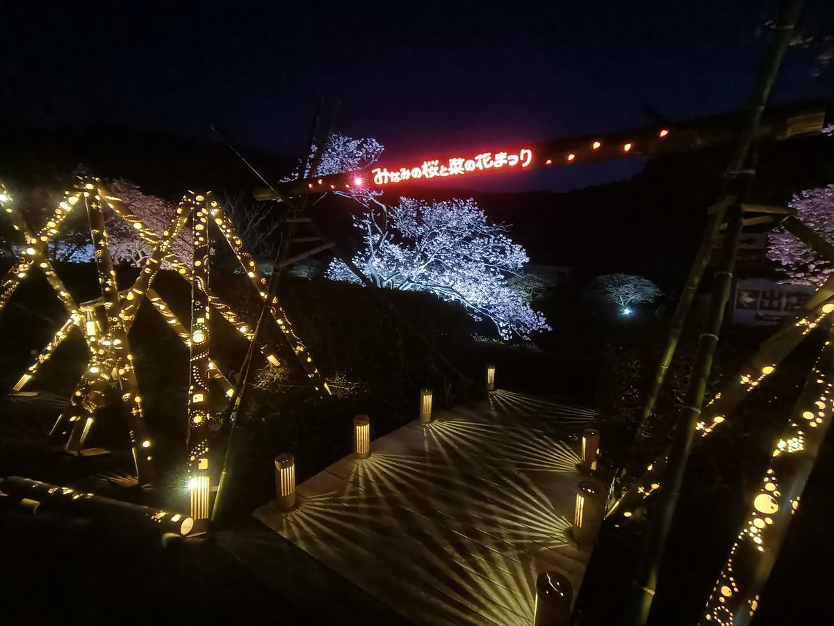 xsrcape's tweet photo. みなみの桜と菜の花まつり
対岸にもイルミ
夜桜もオススメです https://t.co/iFgUnanij5
