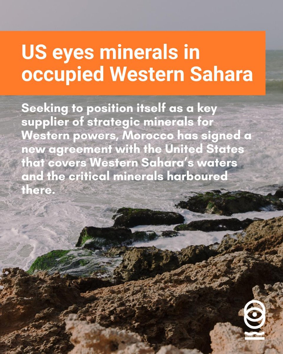 Western Sahara Resource Watch tweet media