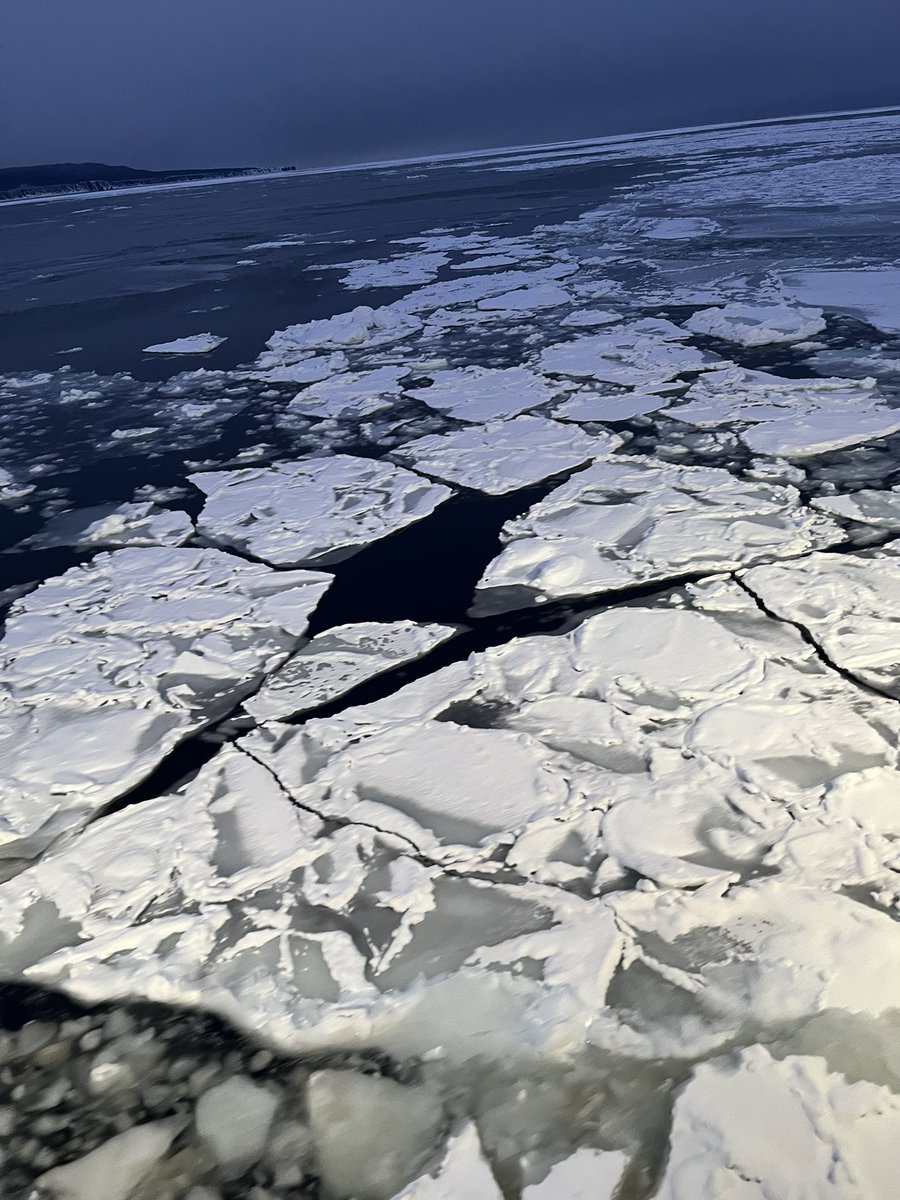 無事🧊🚢見れたよ〜！！感激😭
夜の海楽しかった！また明後日チャレンジしにきます🫡