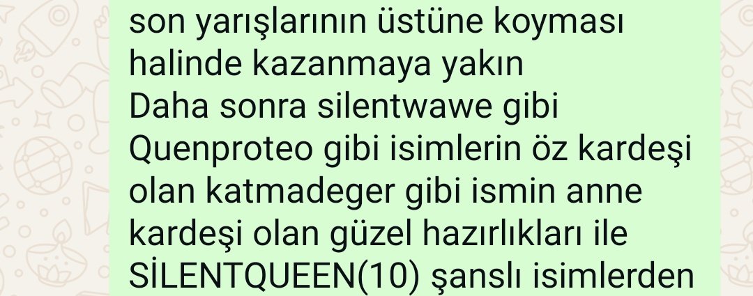 SİLENTQUEEN✍️Böyle isimlerle öz kardeş olduğunu inkar etmedi. 
Güçlü kan hattını inkar etmedi🧿