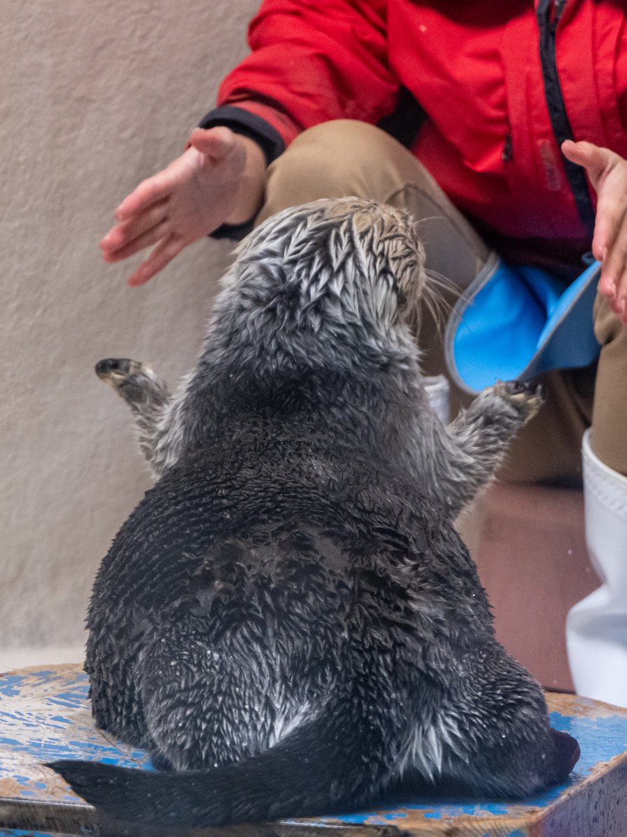 可愛すぎるんですけど